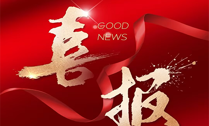 喜报丨乐鱼体育_乐鱼(中国)一站式服务官方网站入选2024粤港澳大湾区企业创新力榜单